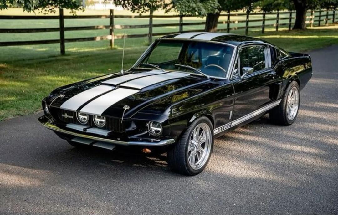 A classic black Ford Mustang Shelby GT500 with white racing stripes, parked on an asphalt road with a wooden fence and trees in the background.