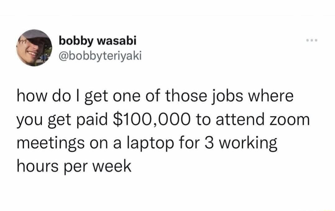 bobby wasabi bobbyteriyaki how do get one of those jobs where you get paid 100000 to attend zoom meetings on a laptop for 3 working hours per week