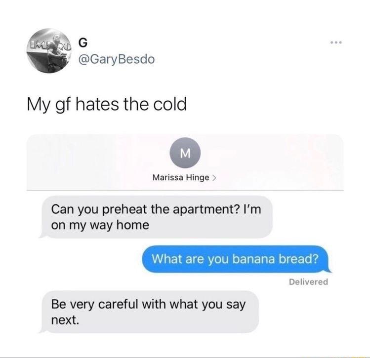R G 23 GaryBesdo My gf hates the cold Marissa Hinge Can you preheat the apartment Im on my way home Delivered Be very careful with what you say next