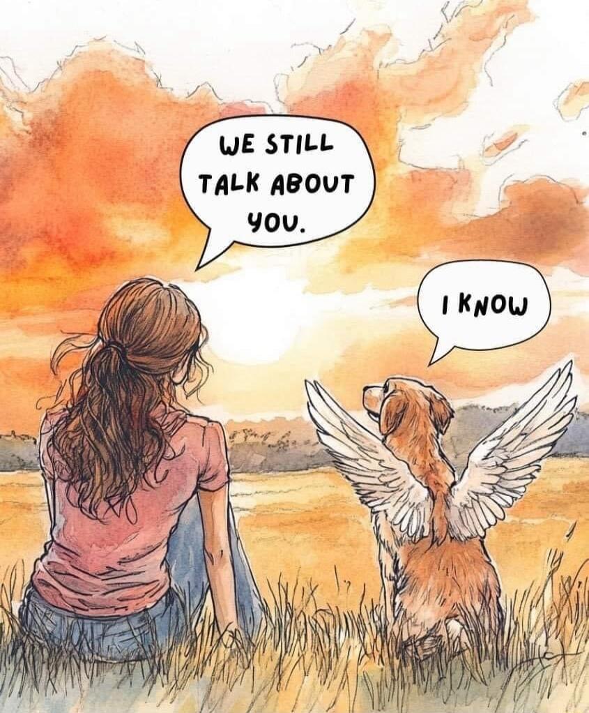 WE STILL TALK ABOUT