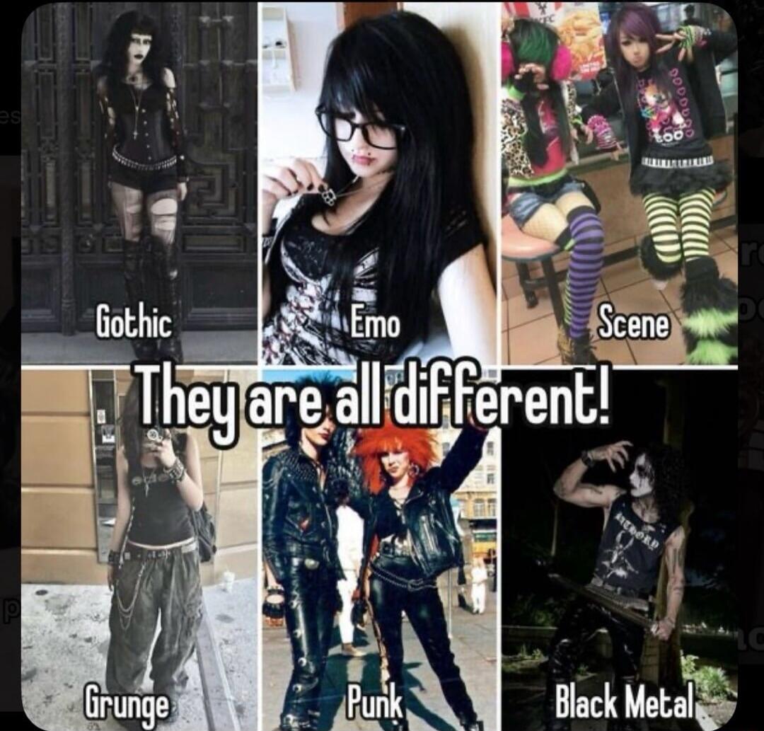Gothic Emo Scene Grunge Punk Black Metal They are all different!