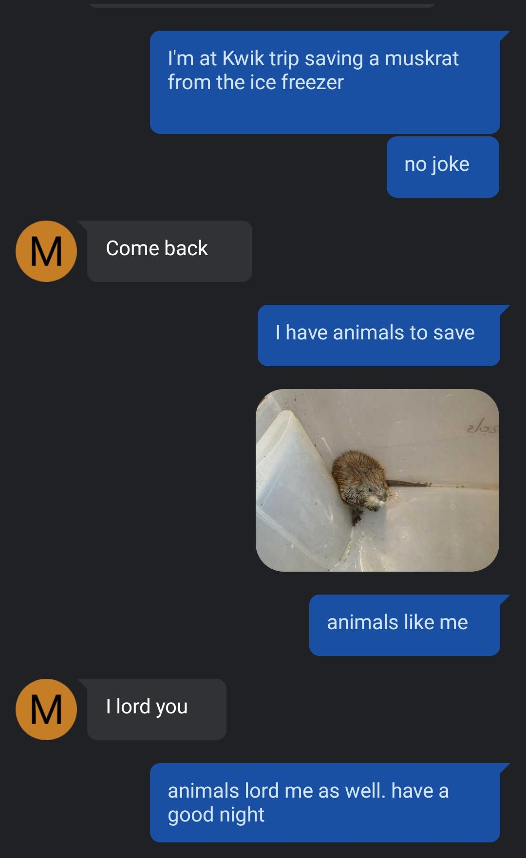 Im at Kwik trip saving a muskrat from the ice freezer no joke Come back MEVCEE SR RN animals like me I lord you animals lord me as well have a good night