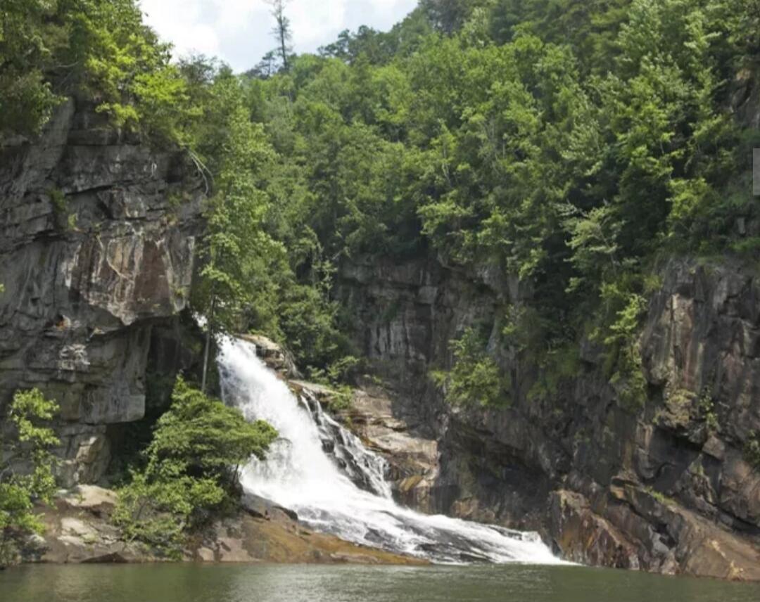 A waterfall cascading down rocky cliffs into a calm pool, surrounded by lush green trees and rugged rock formations.