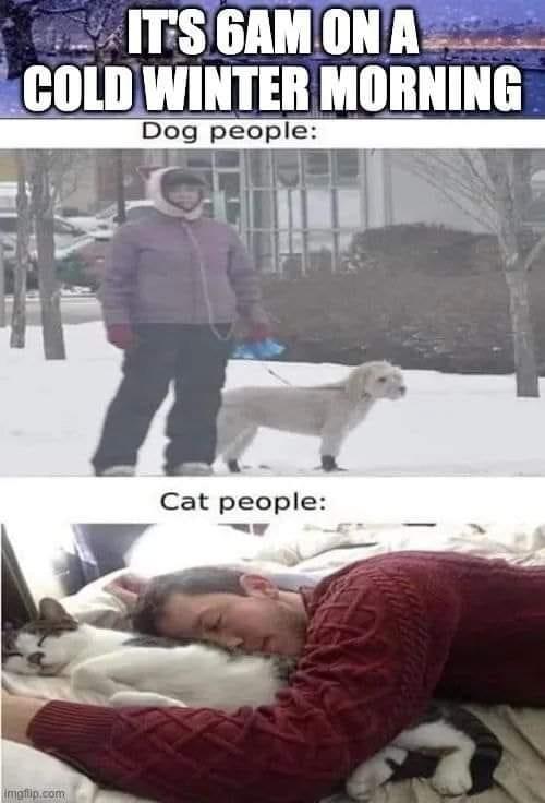 TS GAMONA_ _ COLD WINTER Mlllllllllli Dog people Cat people w