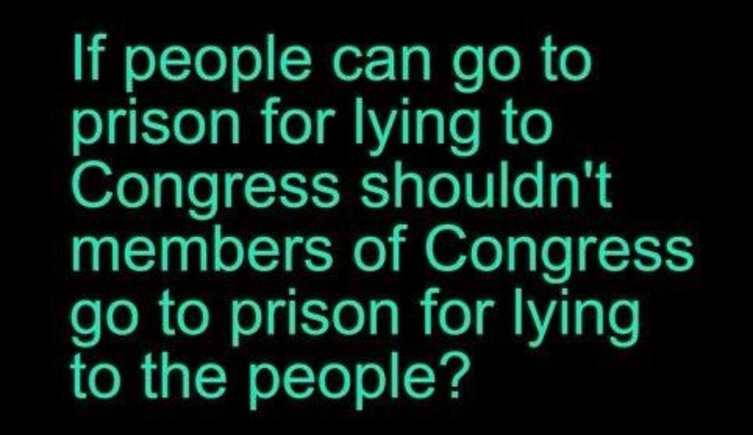 Il elTolo Ner TaNeo R 0 prison for lying to Congress shouldnt members of Congress ooR oW eIy STel s edYIge to the people