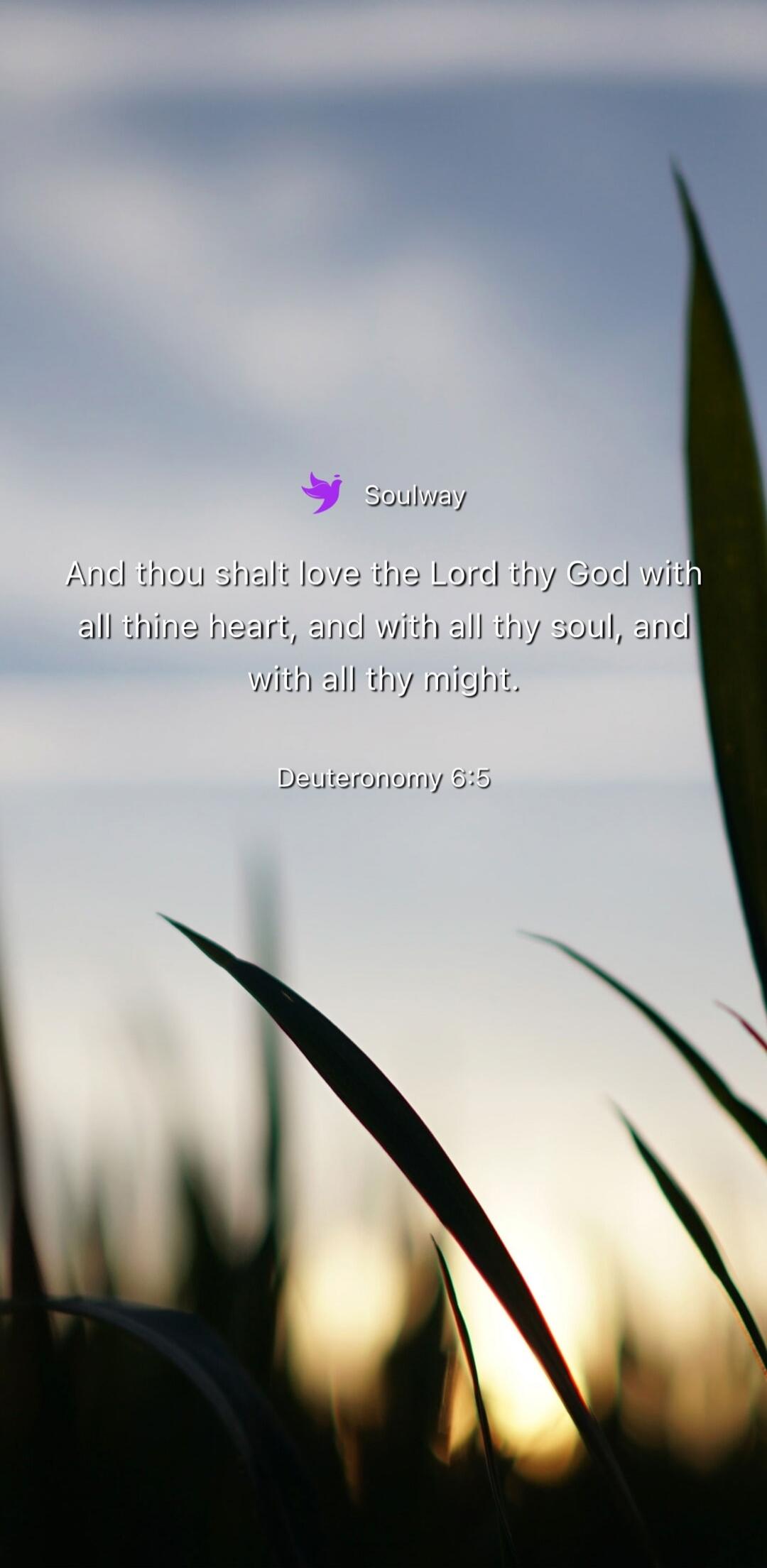 Soulway And thou shalt love the Lord thy God with all thine heart, and with all thy soul, and with all thy might. Deuteronomy 6:5