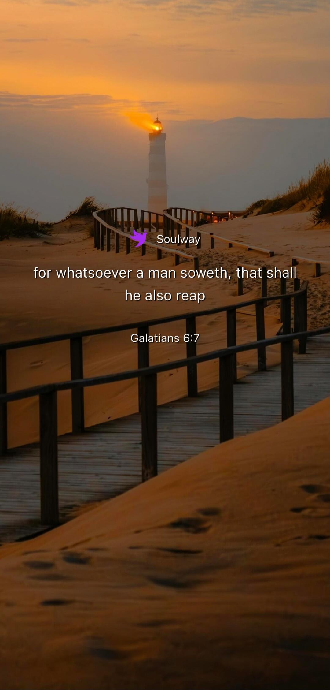 Soulway for whatsoever a man soweth, that shall he also reap Galatians 6:7