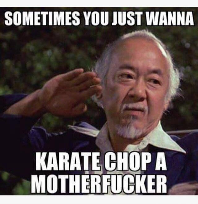 SOMETIMES YOU JUST WANNA KARATE CHOP A MOTHERFUCKER