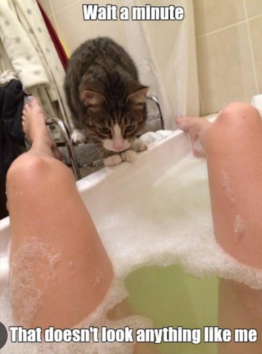 Wait a minute That doesn't look anything like me