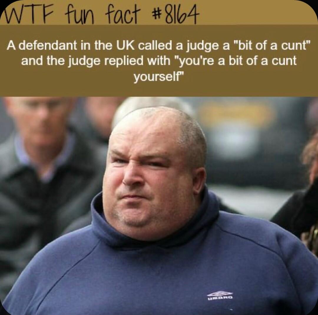i fact 8lb4 Adefendant in the UK called a judge a bit of a cunt and the judge replied with youre a bit of a cunt