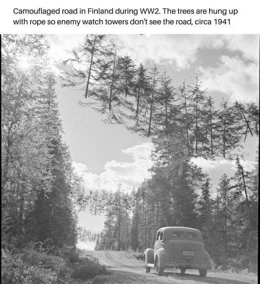 Camoufiaged road in Finland during WW2 The trees are hung up with rope so enemy watch towers dont see the road circa 1941