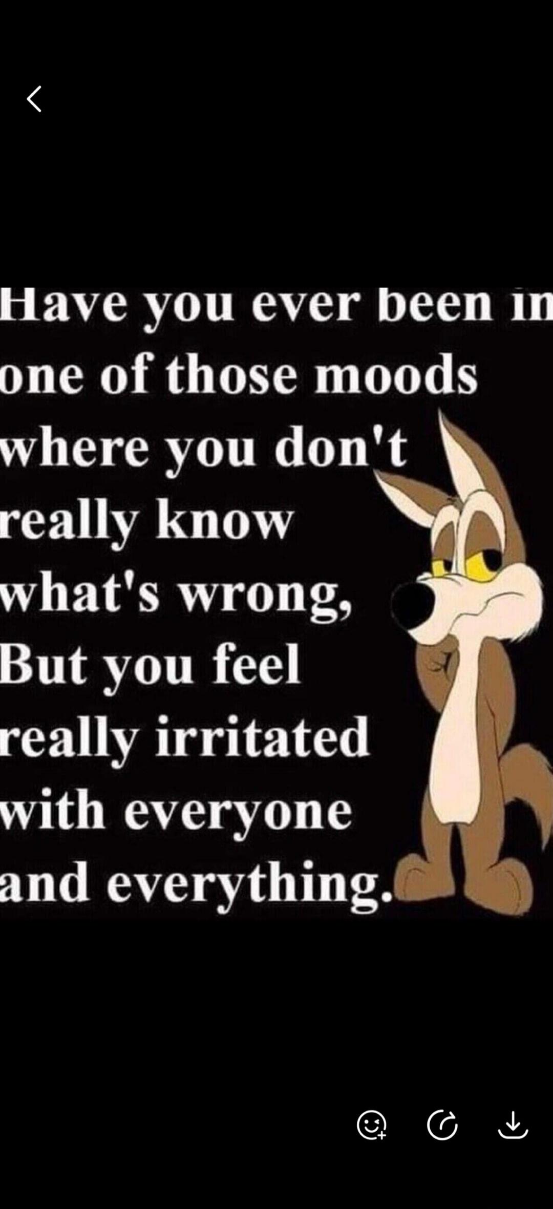 Have you ever been in one of those moods where you don't really know what's wrong, But you feel really irritated with everyone and everything.