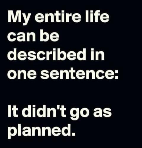 My entire life can be described in one sentence: It didn't go as planned.