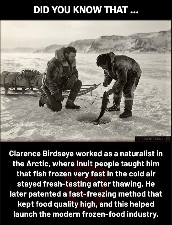 DID YOU KNOW THAT ... Clarence Birdseye worked as a naturalist in the Arctic, where Inuit people taught him that fish frozen very fast in the cold air stayed fresh-tasting after thawing. He later patented a fast-freezing method that kept food quality high, and this helped launch the modern frozen-food industry.