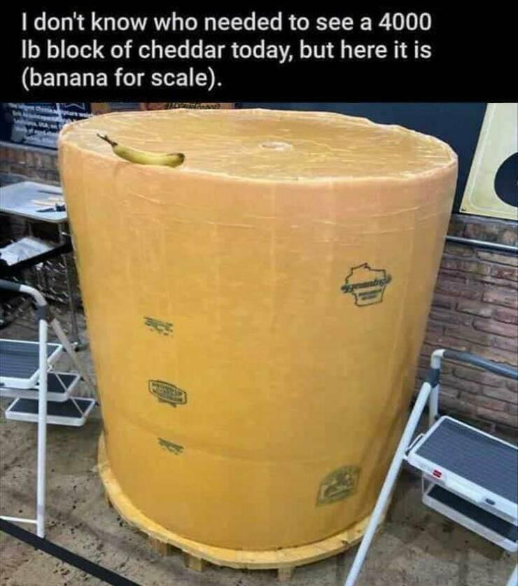 1 dont know who needed to see a 4000 Ib block of cheddar today but here it is CELELERGIELEIN