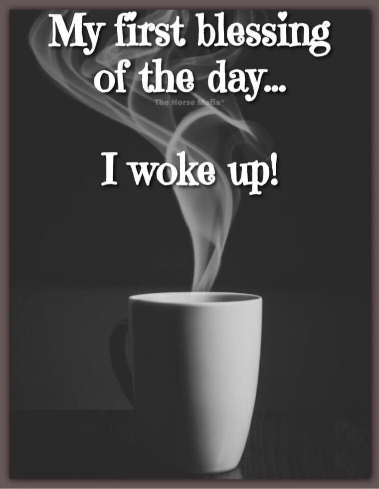My first blessing of the day... I woke up! The Horse Mafia