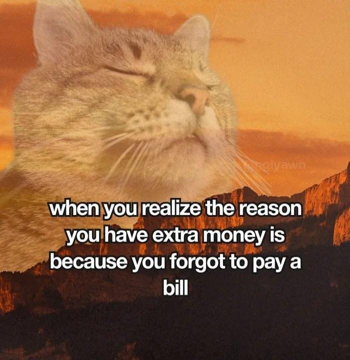 when you realize the reason you have extra money is because you forgot to pay a bill