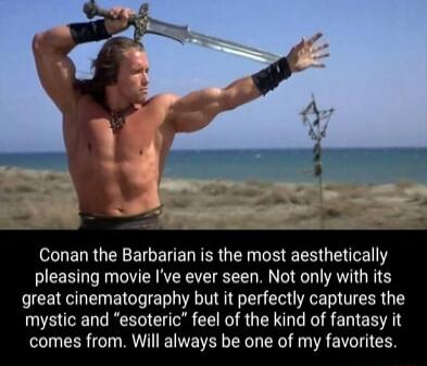 Conan the Barbarian is the most aesthetically pleasing movie Ive ever seen Not only with its great cinematography but it perfectly captures the VNGRS CE I RUEIG VR ENE A comes from Will always be one of my favorites