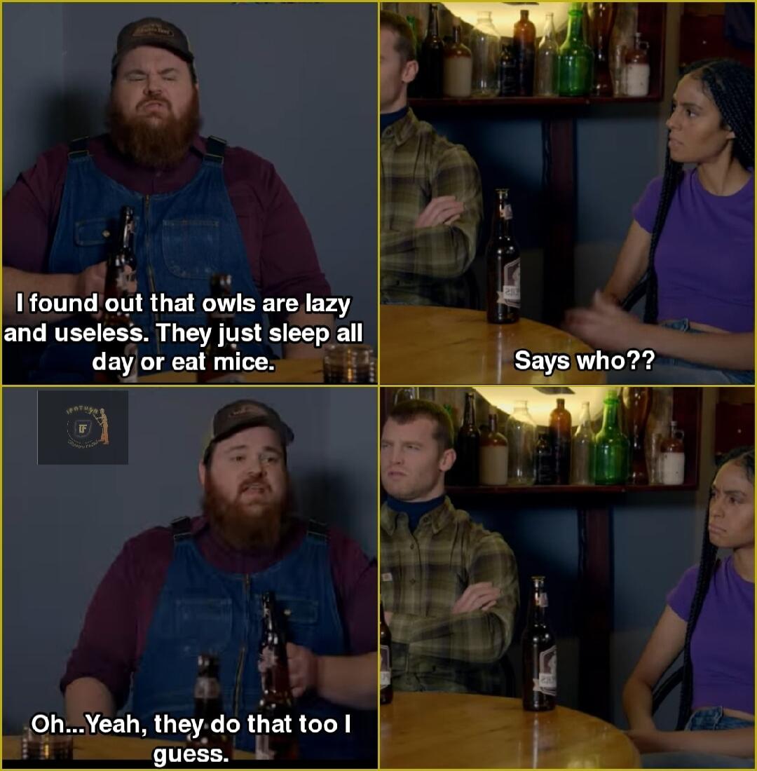 PI I mmgmll that owls are lazy and useless They just sleep all dayoreat mice