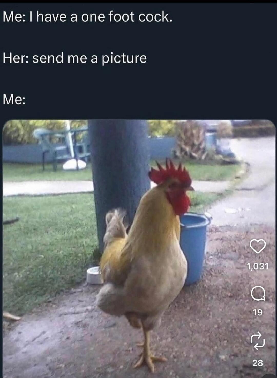 Me: I have a one foot cock. Her: send me a picture Me: