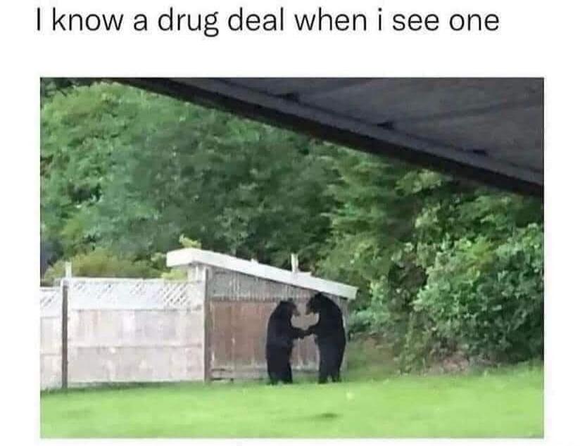I know a drug deal when i see one