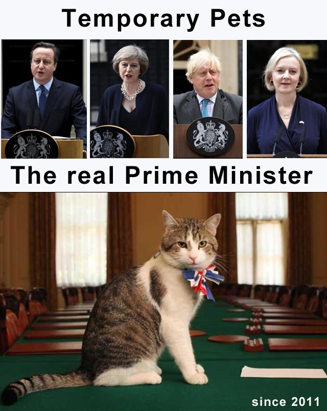 Temporary Pets The reI Prime Minister since 2011