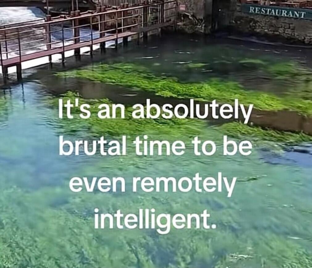 It's an absolutely brutal time to be even remotely intelligent.