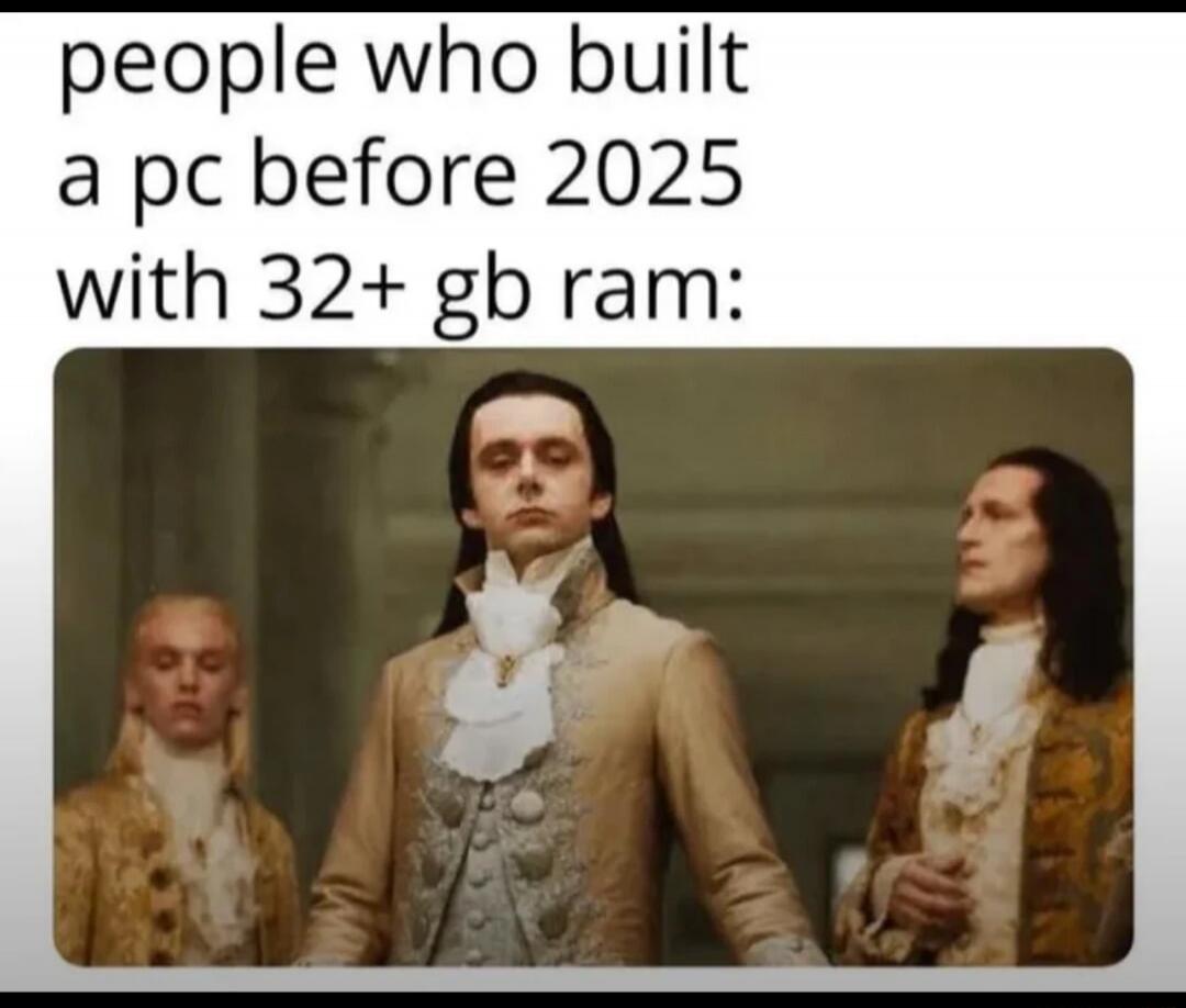 people who built a pc before 2025 with 32+ gb ram:
