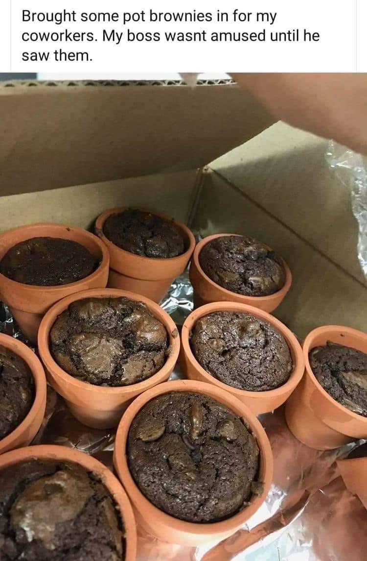 Brought some pot brownies in for my coworkers My boss wasnt amused until he saw them