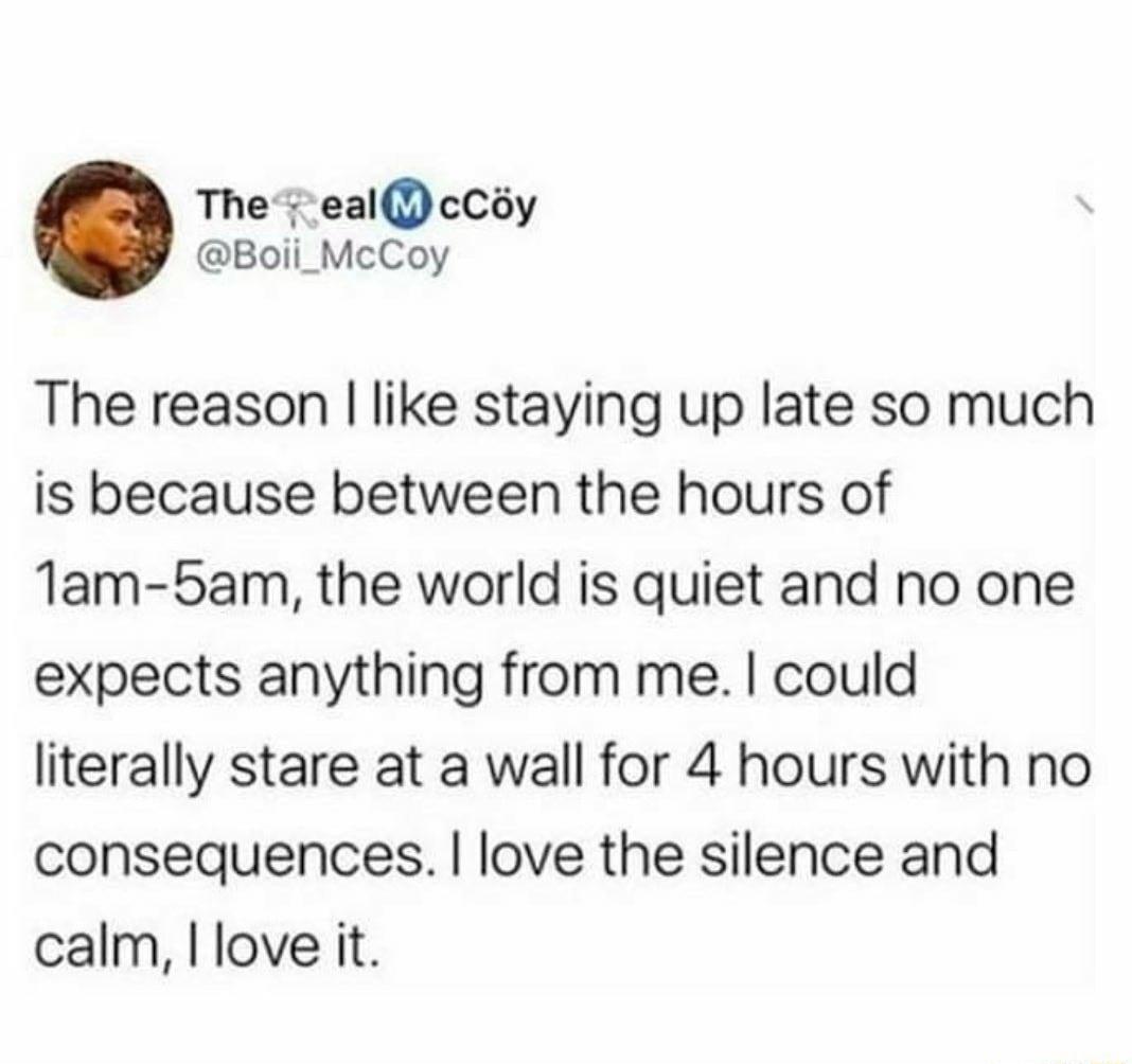 The s eal cCoy Boii_McCoy The reason like staying up late so much is because between the hours of Tam 5am the world is quiet and no one expects anything from me could literally stare at a wall for 4 hours with no consequences love the silence and calm love it