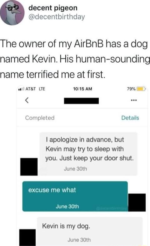 decent pigeon decentbirthday The owner of my AirBnB has a dog named Kevin His human sounding name terrified me at first ATT LTE 1015 AM 79 Completed Details apologize in advance but Kevin may try to sleep with you Just keep your door shut excuse me what June 30th Kevin is my dog June 30th