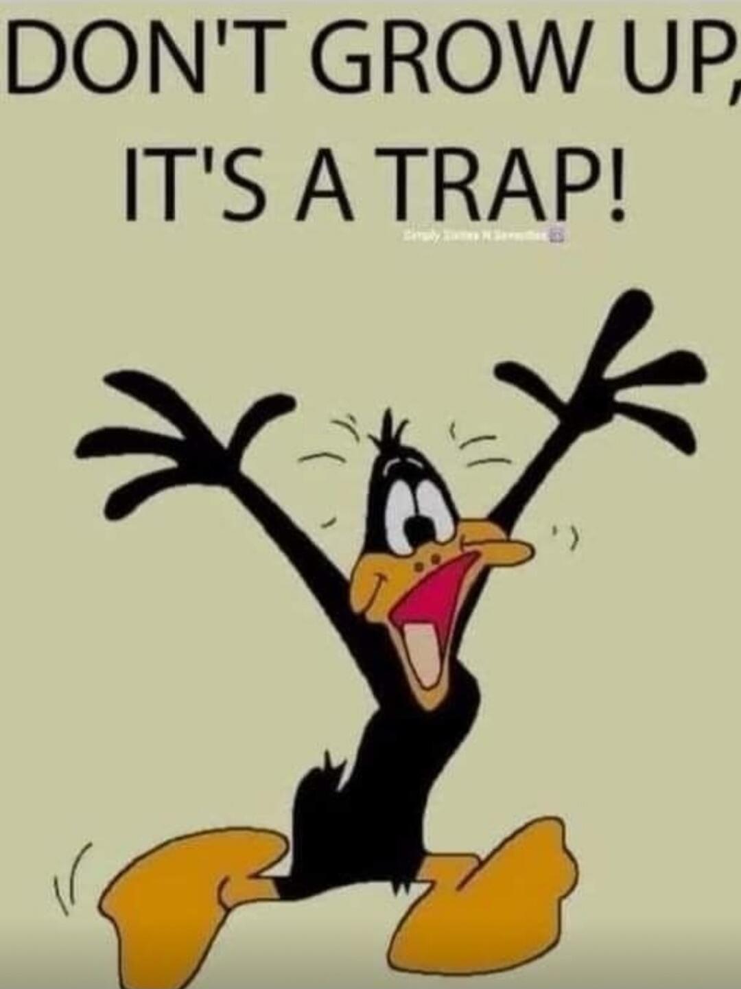 DON'T GROW UP, IT'S A TRAP!