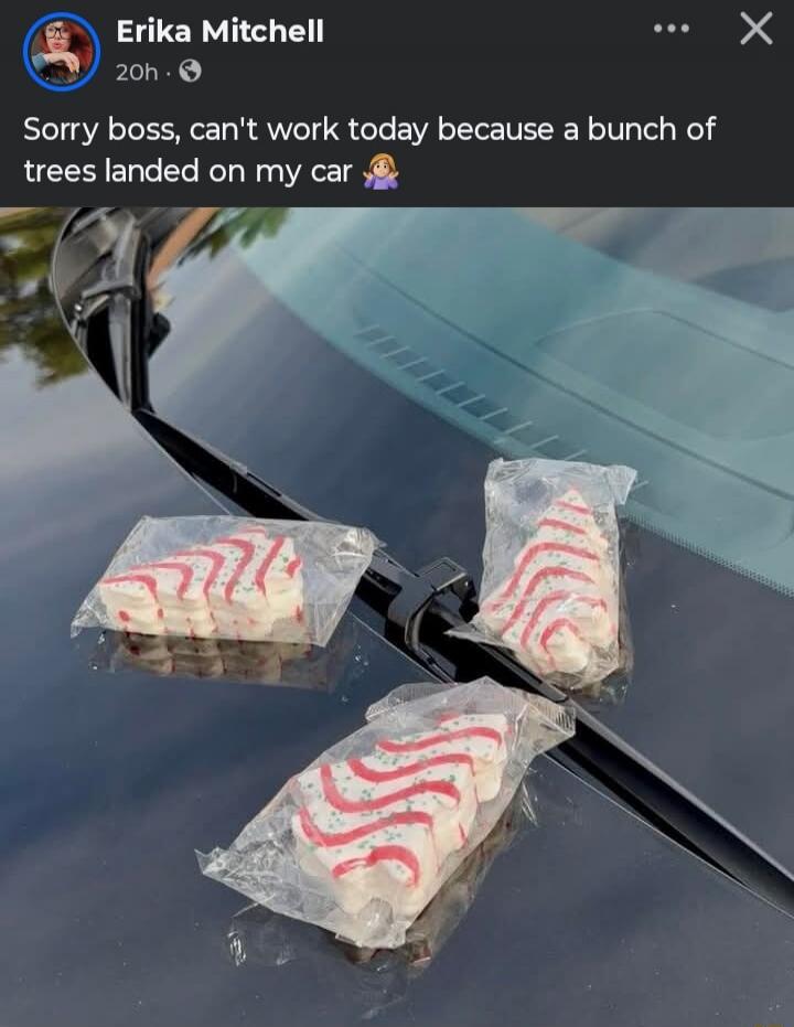 Sorry boss, can't work today because a bunch of trees landed on my car 🙋
