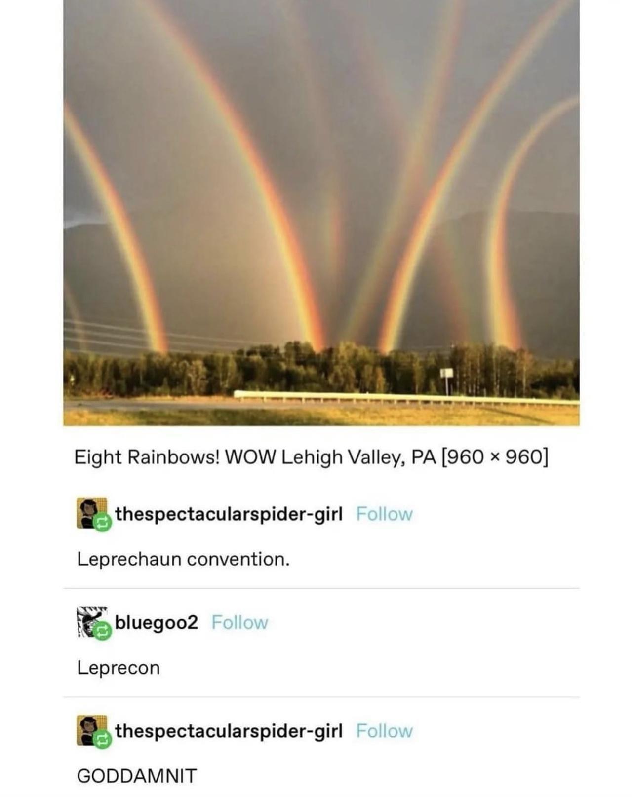 Eight Rainbows WOW Lehigh Valley PA 960 x 960 au pmculmpsau gm Follow Leprechaun convention T bluegooz ol Leprecon malpechcullrspldarglrl Follow GODDAMNIT
