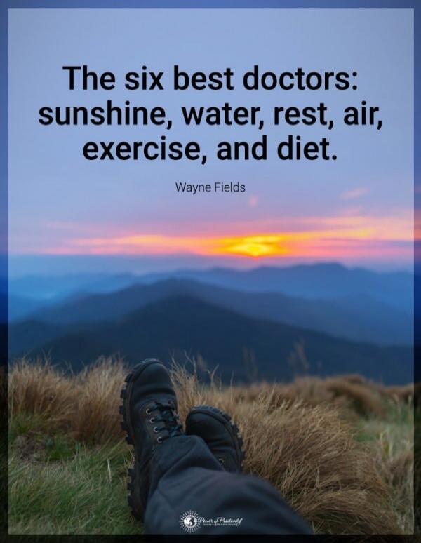 The six best doctors: sunshine, water, rest, air, exercise, and diet.