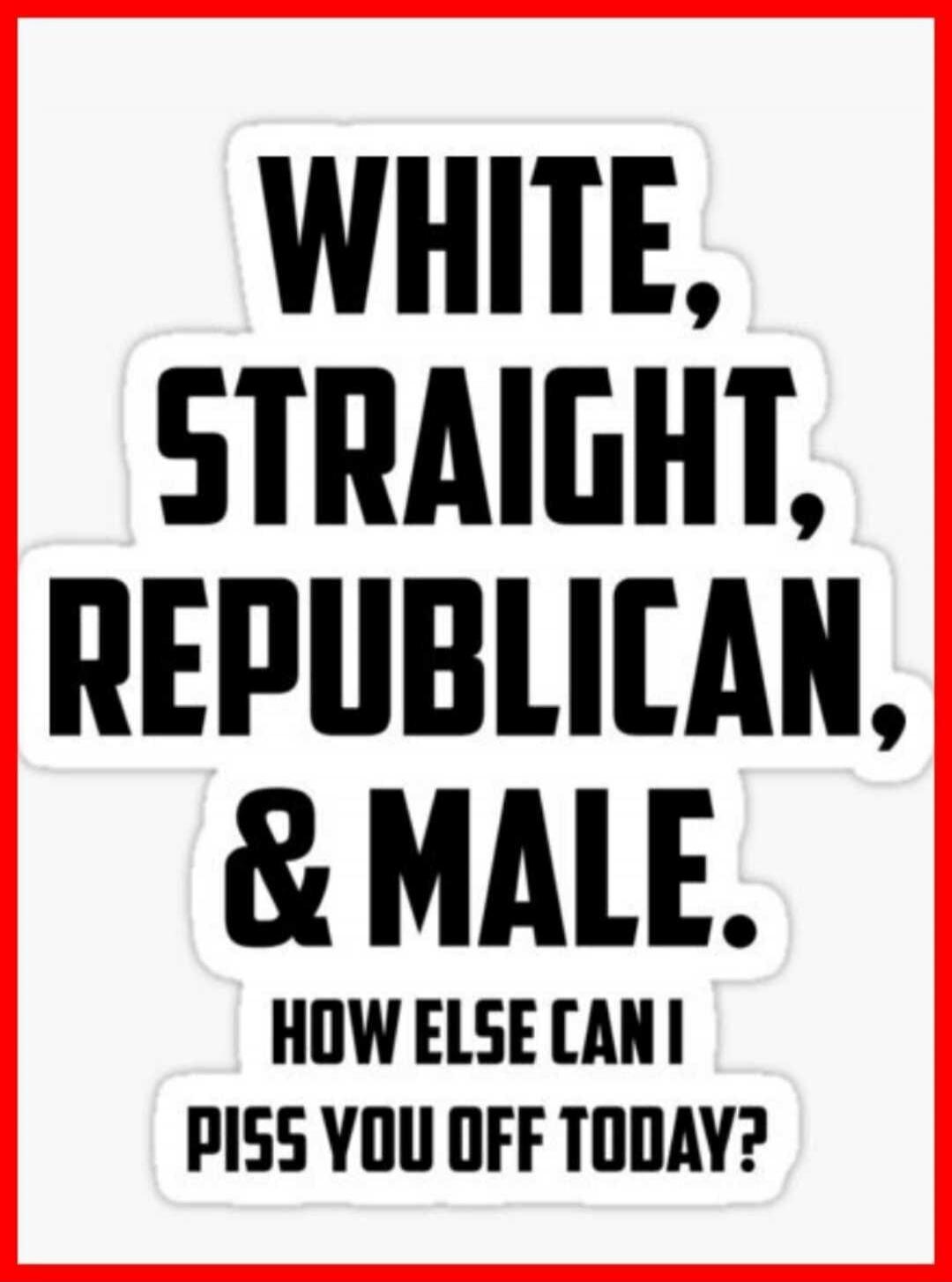 WHITE, STRAIGHT, REPUBLICAN, & MALE. HOW ELSE CAN I PISS YOU OFF TODAY?