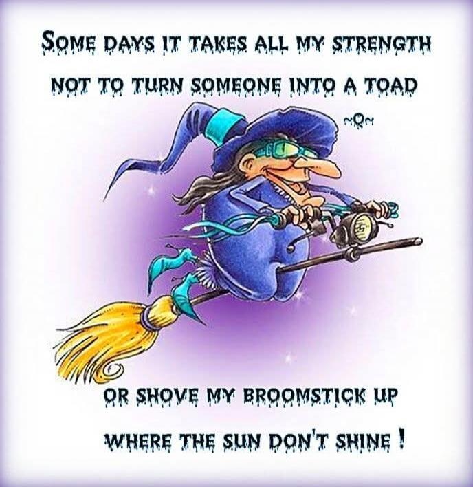 Some days it takes all my strength not to turn someone into a toad or shove my broomstick up where the sun don't shine!