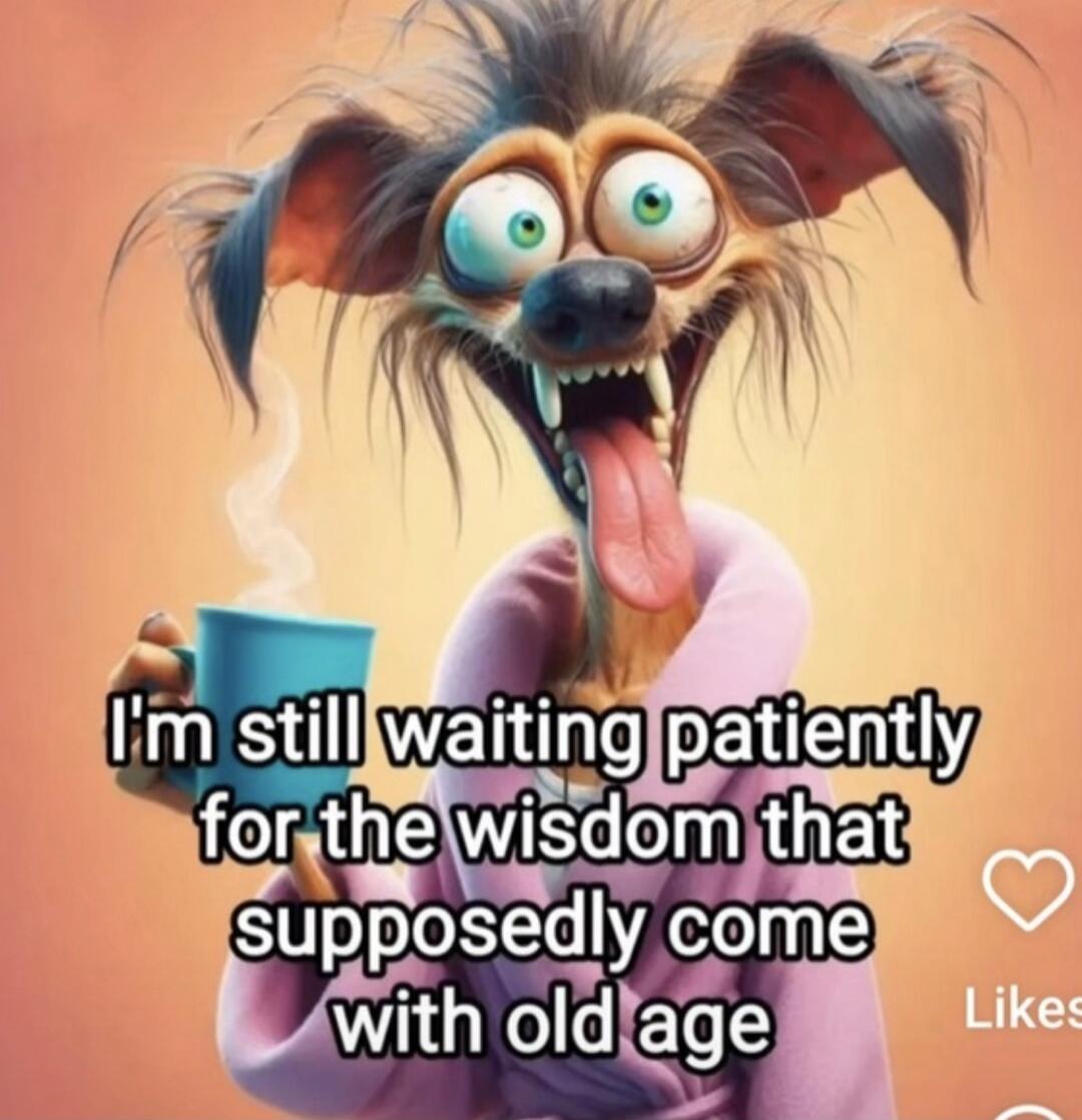 I'm still waiting patiently for the wisdom that supposedly come with old age