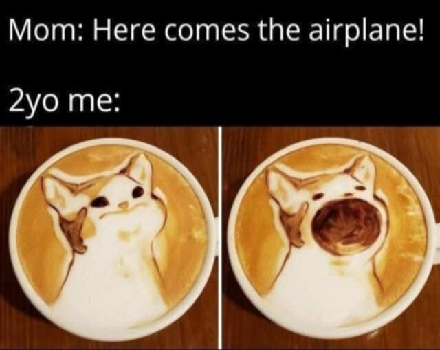 Mom: Here comes the airplane!\n2yo me: