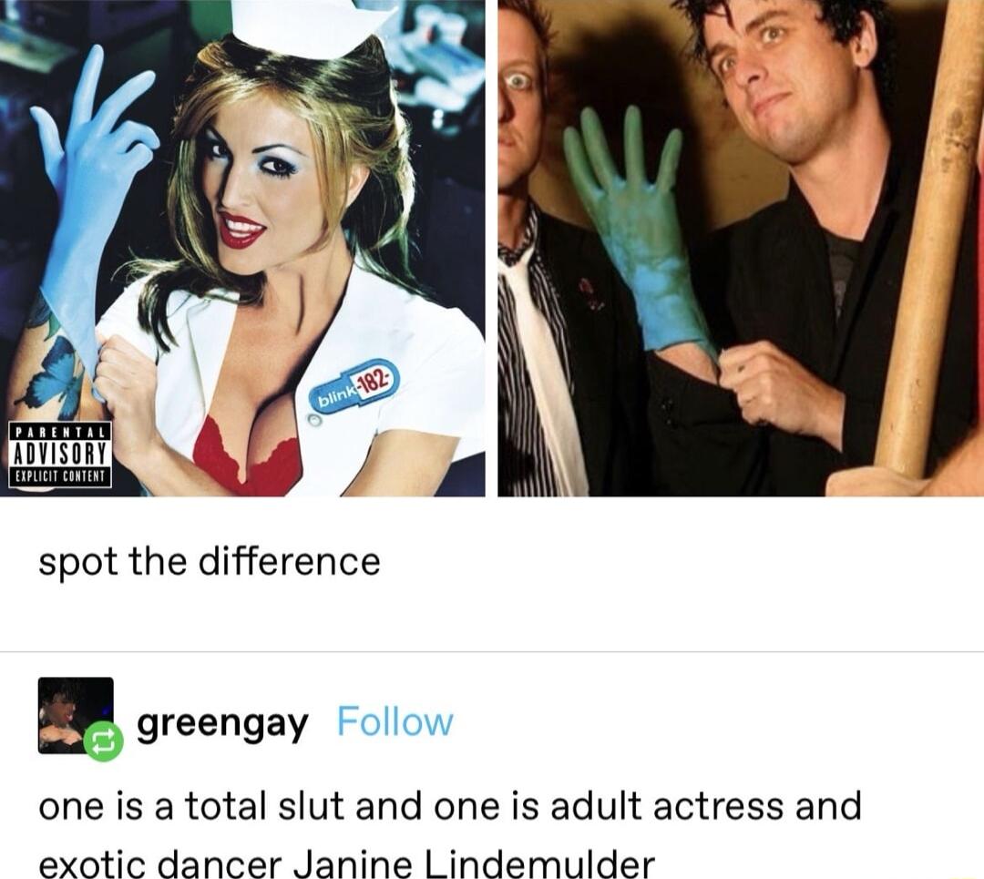 spot the difference one is a total slut and one is adult actress and exotic dancer Janine Lindemulder