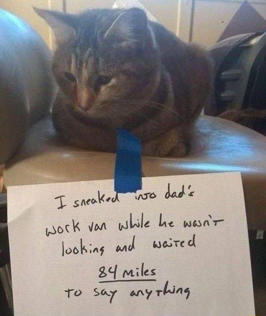 ok van while he wesar oblf M uard 24 Miles To Say any thing