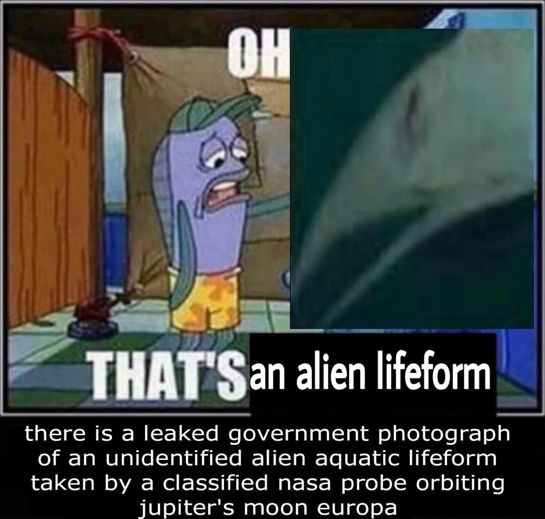 there is a leaked government photograph of an unidentified alien aquatic lifeform taken by a classified nasa probe orbiting jupiters moon europa