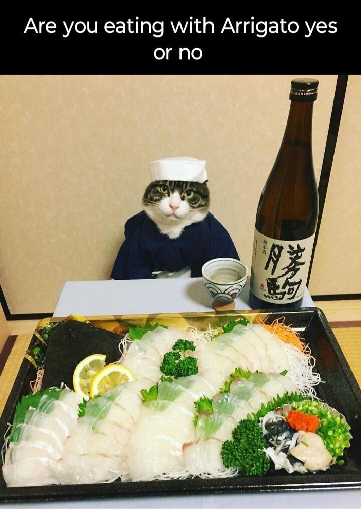 Are you eating with Arrigato yes or no