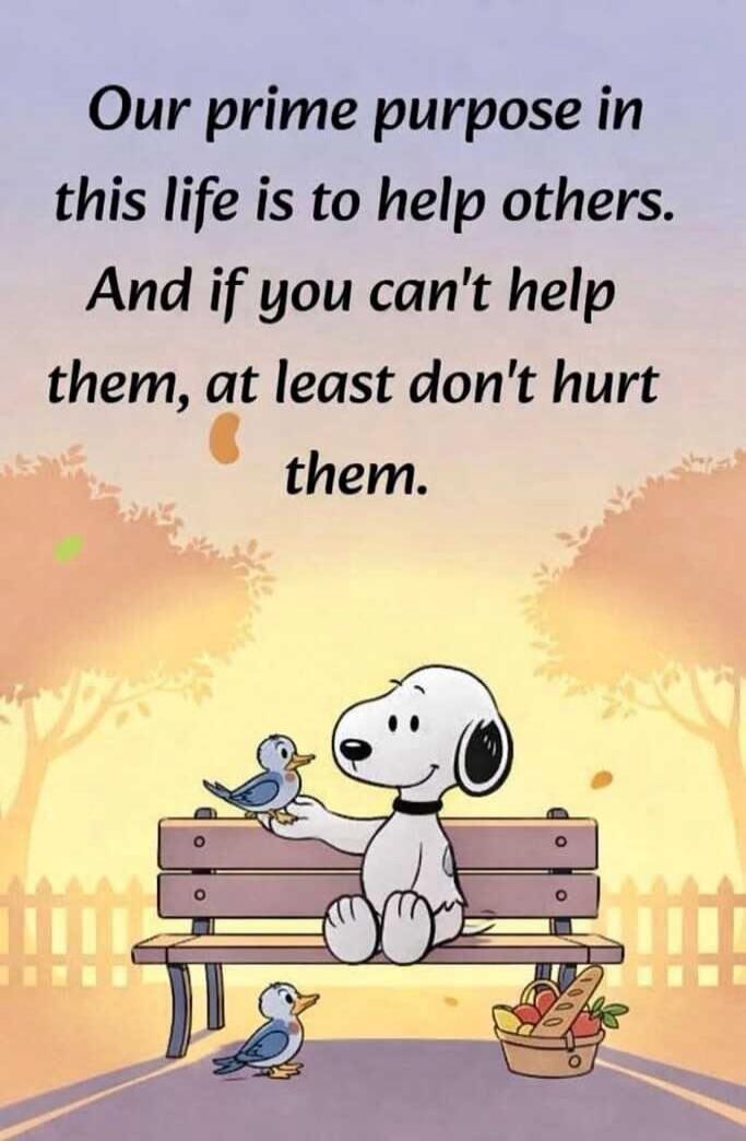 Our prime purpose in this life is to help others. And if you can't help them, at least don't hurt them.