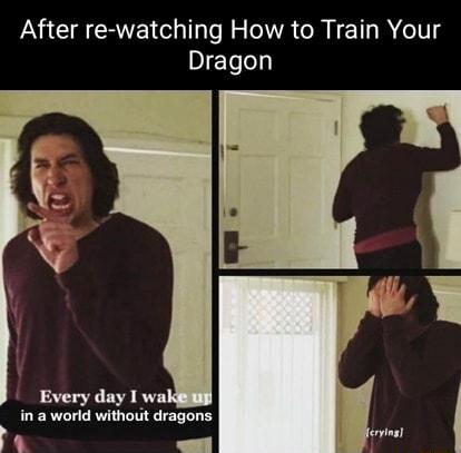 After re watching How to Train Your Dragon in a world without dragons ferying 3