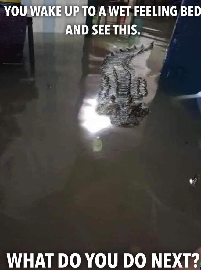 YOWOAWET FEELING BED D SEETHIS WHAT DO YOU DO NEXT