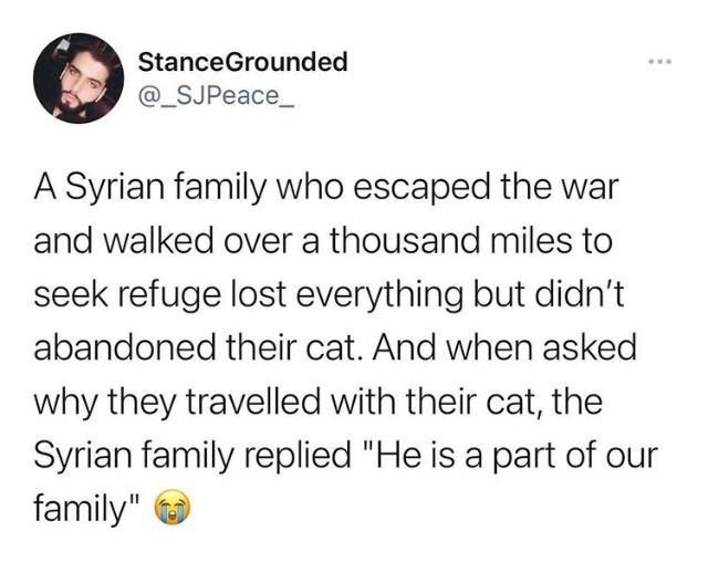 StanceGrounded _SJPeace_ A Syrian family who escaped the war and walked over a thousand miles to seek refuge lost everything but didnt abandoned their cat And when asked why they travelled with their cat the Syrian family replied He is a part of our family