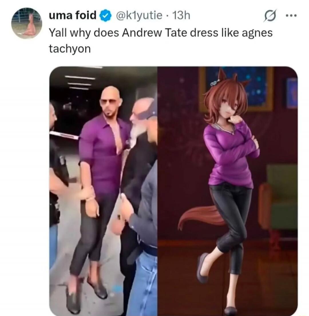 Yall why does Andrew Tate dress like agnes tachyon