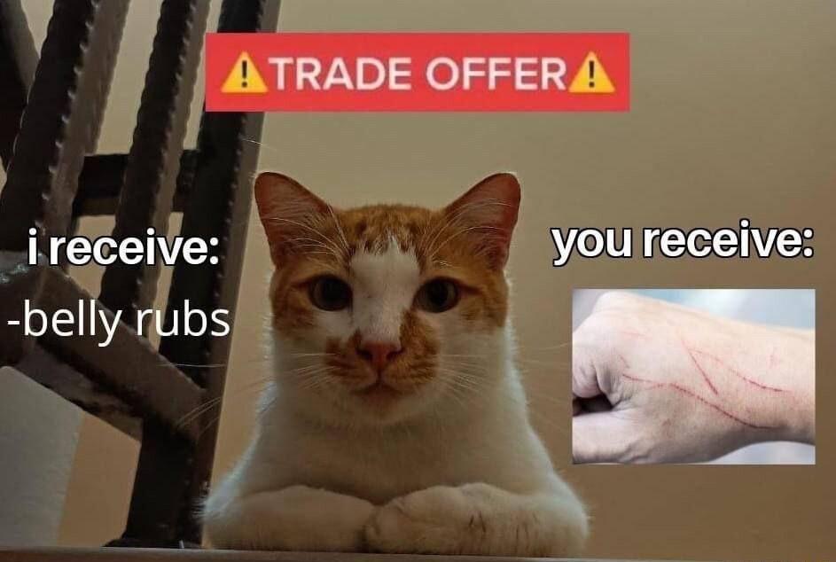 Y N TRADE OFFER ireceive VIR belly rubs 4
