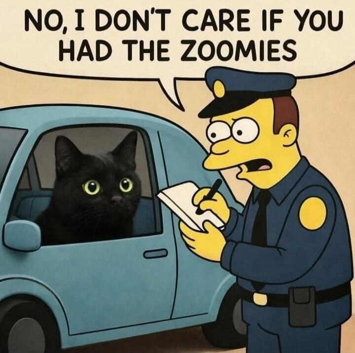 NO, I DON'T CARE IF YOU HAD THE ZOOMIES